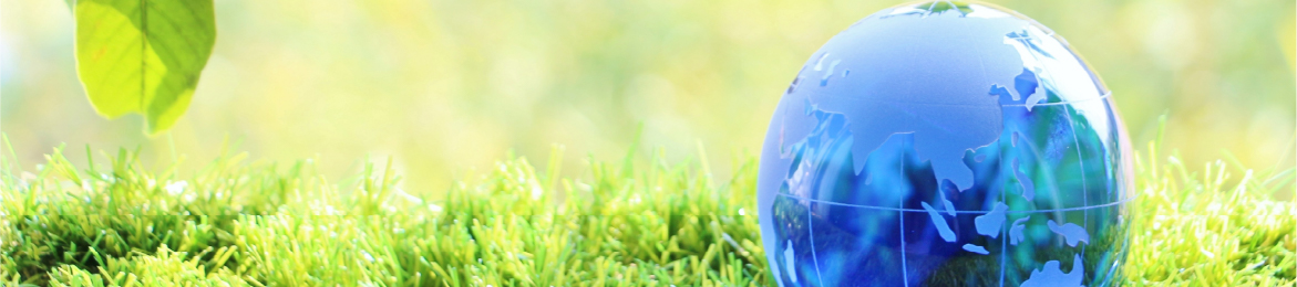 Initiatives for SDGs