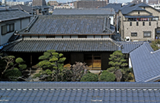 Ϥ褦˹ƤΤ狼